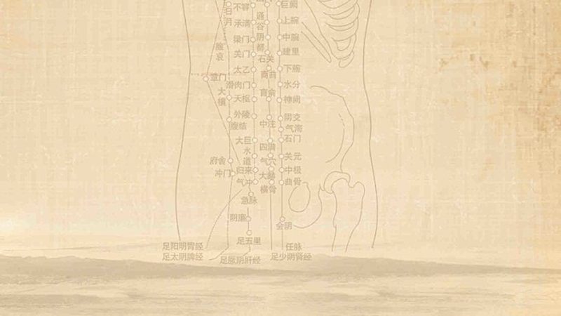 小型养生馆加盟，政策支持知多少？**