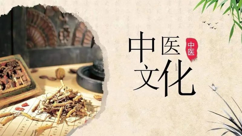 膏方生产资质，揭秘其背后的严格标准